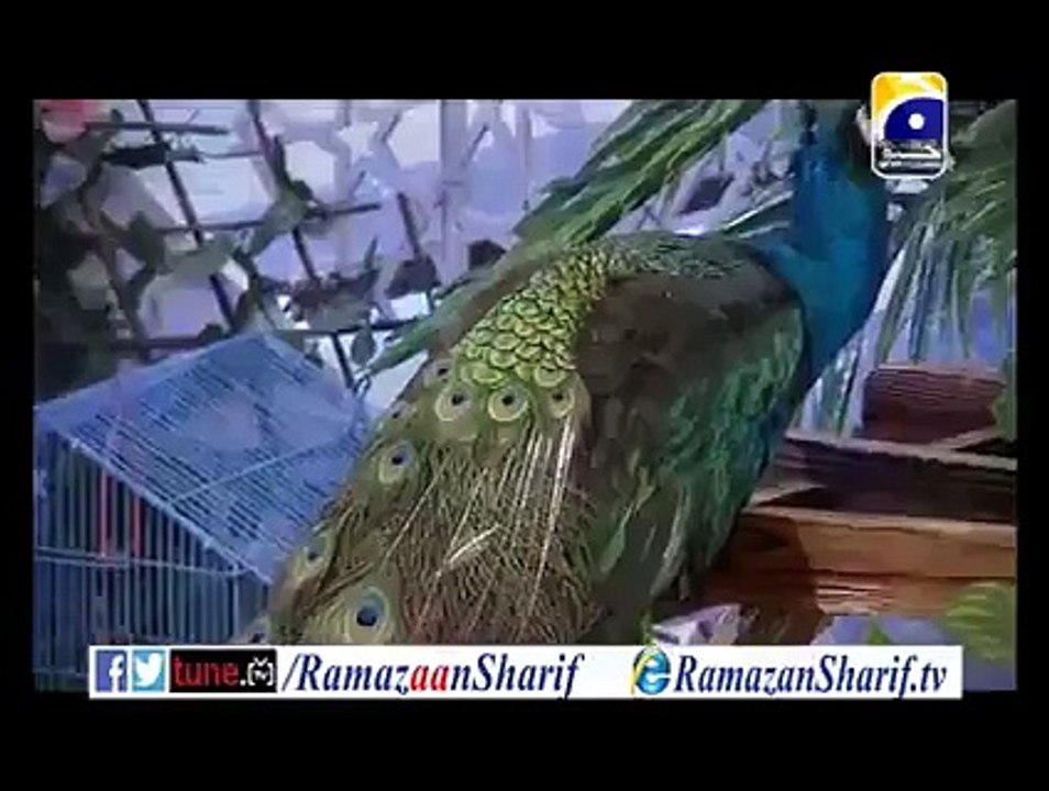 Ramazan Sharif PROMO 2 With Dr Aamir Liaquat Hussaun GEO TV 2015 - رمضان شریف