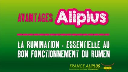 Aliplus. Avantages : la rumination