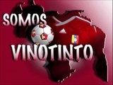 Cancion de la Vinotinto