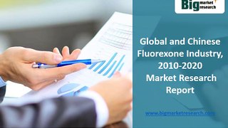 Global and Chinese Fluorexone Industry 2010-2020 Market Forecast