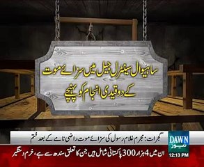 7 Afrad Ko Phansi Dey Di Gi