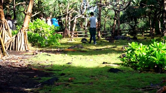 Slackline : Traversée extrême sur l'île de La Réunion