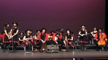 2014 Fiddlers ReStrung - Senior Song - Spring Hometown Concert