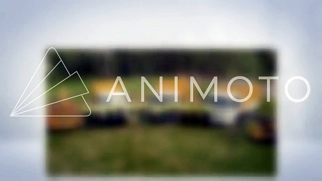 Jims Tree Removal Sydney