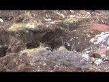 Calvi Risorta (CE) - Proseguono gli scavi nella discarica ex Pozzi Ginori (17.06.15)