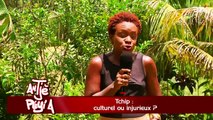 ATPA 17 06 15 TCHIP CULTUREL OU INJURIEUX MOISE UDINO OK