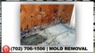 Mold Removal Las Vegas - 24-7 Affordable Service|702-706-1506|Las Vegas|89144|89134|89145|NV