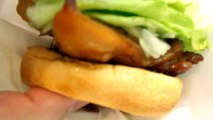 Vivi Giappone - Hamburger giapponesi? Si, da Mos Burger!