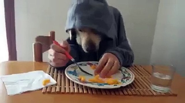 VID-20150528-WA0005.mp4