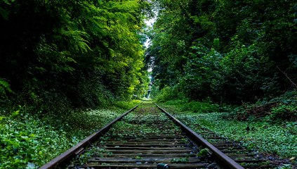 After Effects Project Files - Parallax Point - VideoHive 9491556