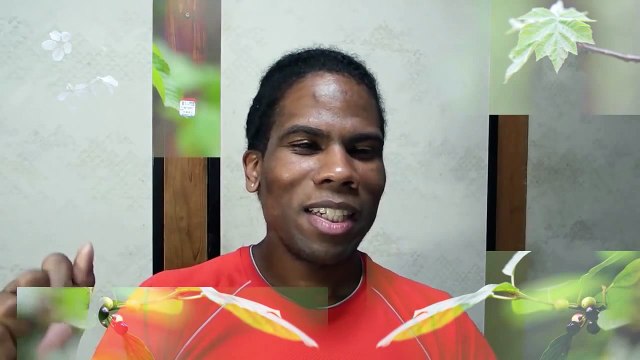 # 45 . Un Martiniquais au Japon : Visite chez le dentiste !