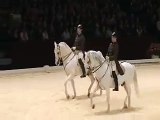 Pas de Deux - Dressage horses - Classical riding