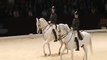 Pas de Deux - Dressage horses - Classical riding