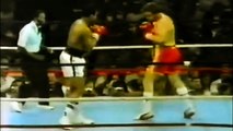 Muhammad Ali - Spirit And Determination