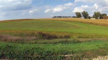 Hills of Southern Wisconsin - Cornfields, Farmland, Cattle