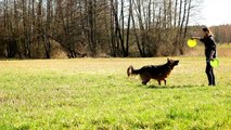 NERO DOG TRICKS and FRISBEE and AGILITY ~ german shepherd