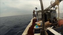 Pole & Line fishing trip Maldives // Lhaviyani atoll // Naifaru & Felivaru