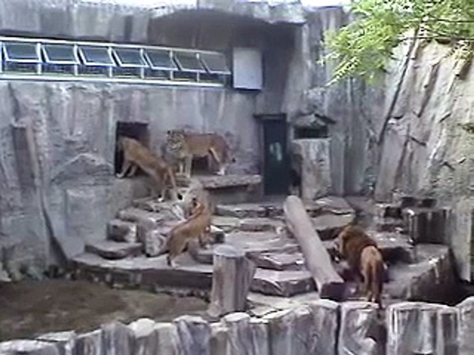 09年7月14日 まだ入りたくない！