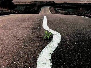 Respeito Incomum- Jesus pede que tenhamos para com as pessoas