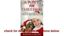 A Puppy For Christmas: 3 Last Minute Tips To Finding The Right Dog Complete Reviews