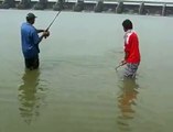 Rohu Fishing in Pakistan at Head Rasool(Landed By KAKA BHAI)