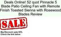 52 quot Pinnacle 5 Blade Patio Ceiling Fan with Remote Finish Toasted Sienna with Rosewood Blades Review
