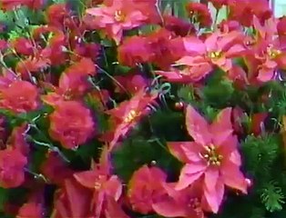 GEORGE STRAIT  -   WHEN IT'S CHRISTMAS TIME IN TEXAS