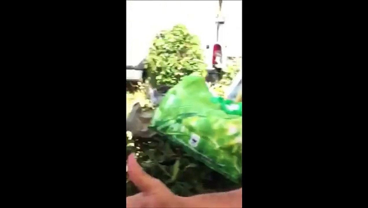 e ritornato u palermitanu Grande