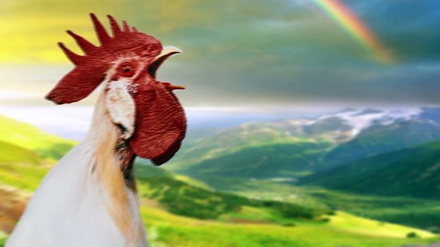 Qu'est-ce qui est pire : sauter le petit-déjeuner ou manger un donut ?