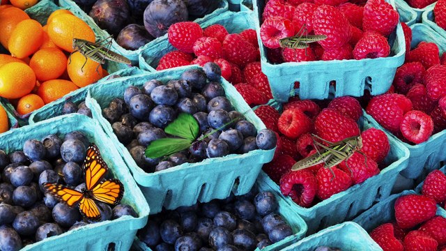 Qu'est-ce qui est pire : manger une pomme non lavée ou pas de pomme du tout ?