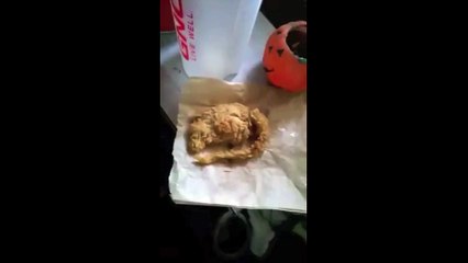 KFC fried chicken rat is a fake... Are you sure?