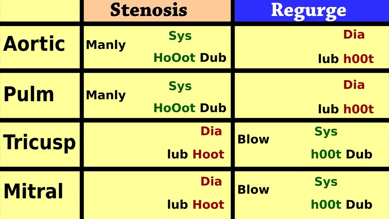 Heart Murmurs: Easy Cardiac Auscultation Tutorial: Intro Aortic Stenosis, Regurgitation (3 of 5)