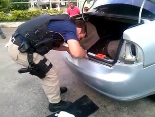 PRF apreende 14 kg de drogas na BR 262, em Marechal Floriano