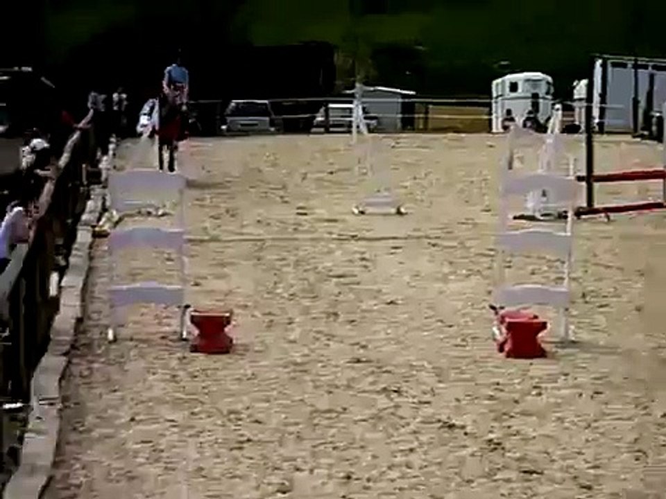 bertille et sa chute