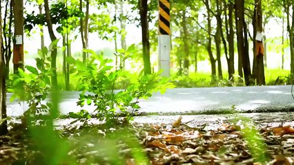 Keeway Superlight 2015 #3