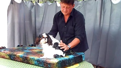 IDRIJA DE LA VERTE ALBION