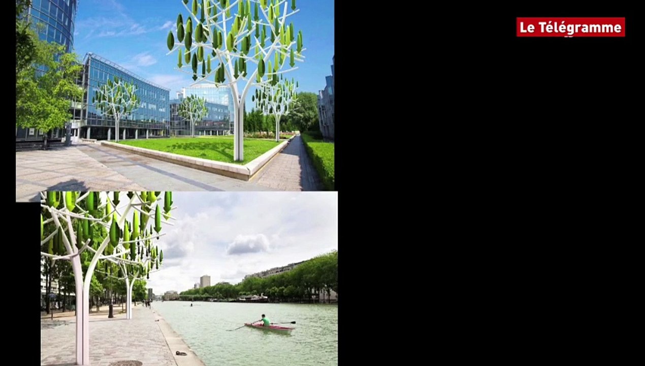 Pleumeur-Bodou (22). L'arbre à vent, pour les particuliers aussi ?