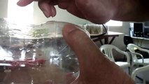 Como fazer enfeite de mesa usando garrafa pet! (How to make ornament table using plastic bottles!)