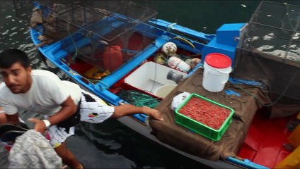 Manta,Manta y Niños 2013 - La Gomera