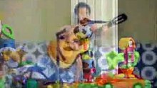 Top 10 Funny Baby Videos! -