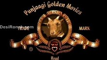 - Punjabi funny  Totay -