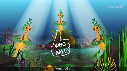 Leafy Sea Dragon Song  ChuChuTV Sea World  Animal Songs For Children