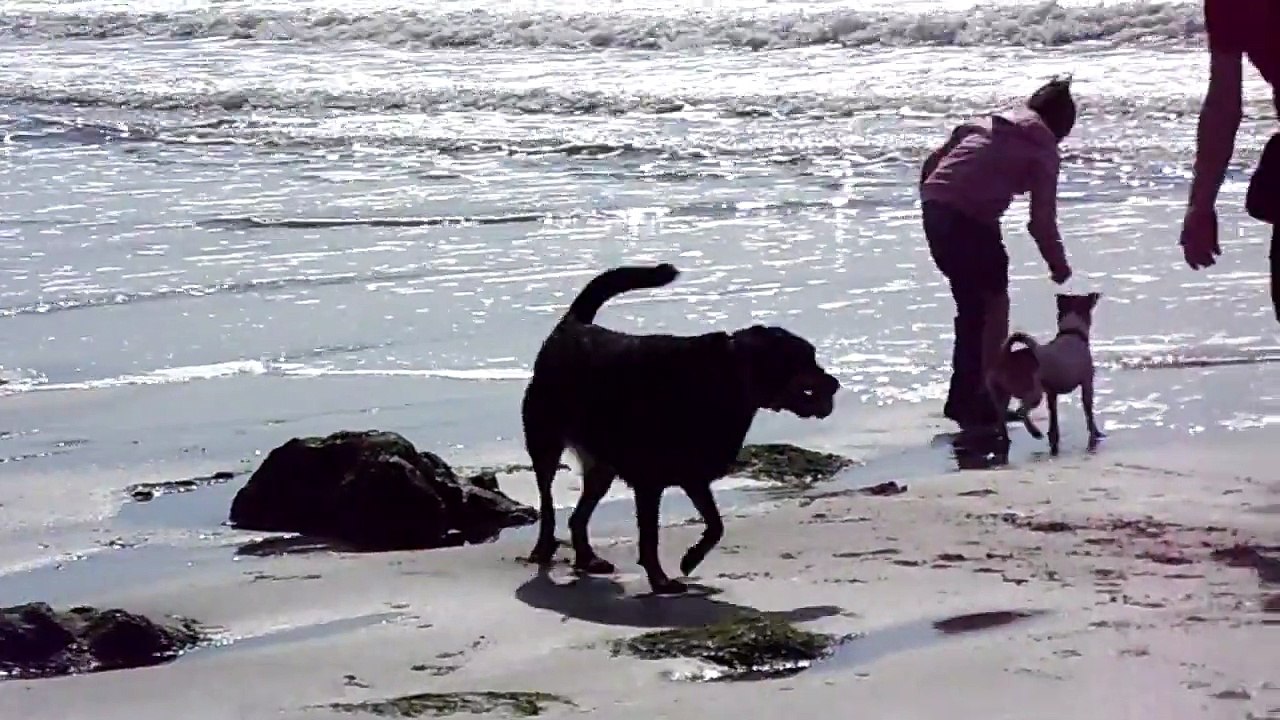 nala et jessye a la plage