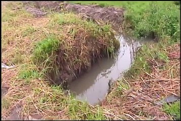 Canals Fight Malaria