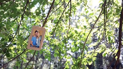 After Effects Project Files - Forest Gallery - VideoHive 8850072