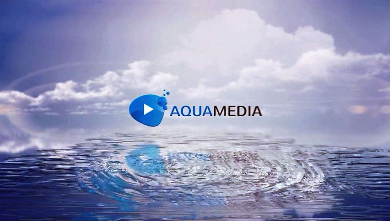 After Effects Project Files - Clean Logo V03 Water Ripples - VideoHive 8960200