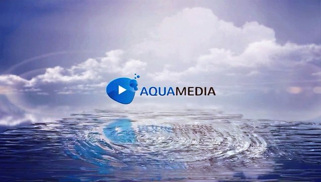 After Effects Project Files - Clean Logo V03 Water Ripples - VideoHive 8960200