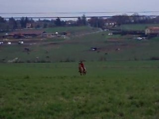 Italiano - La lingua italiana 🇮🇹