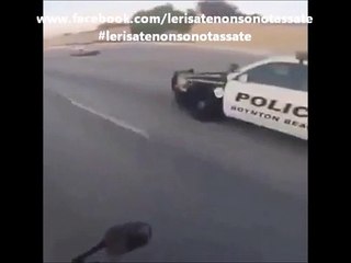 Vado per la mia via e al diavolo la Polizia...