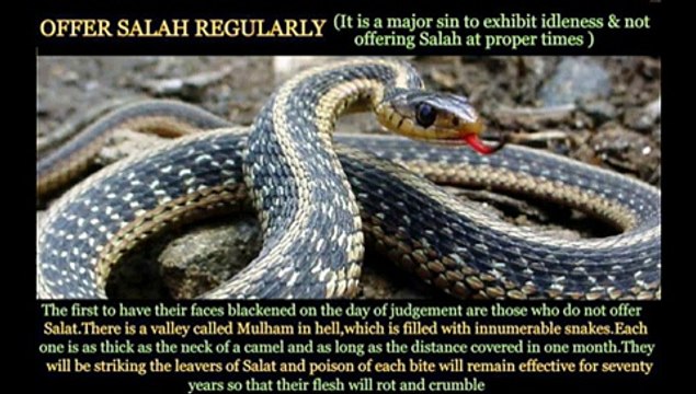 Keno Re Benamazi Namaaz Keno Porona? [Bangla Gazal By: Alaur Rahman]